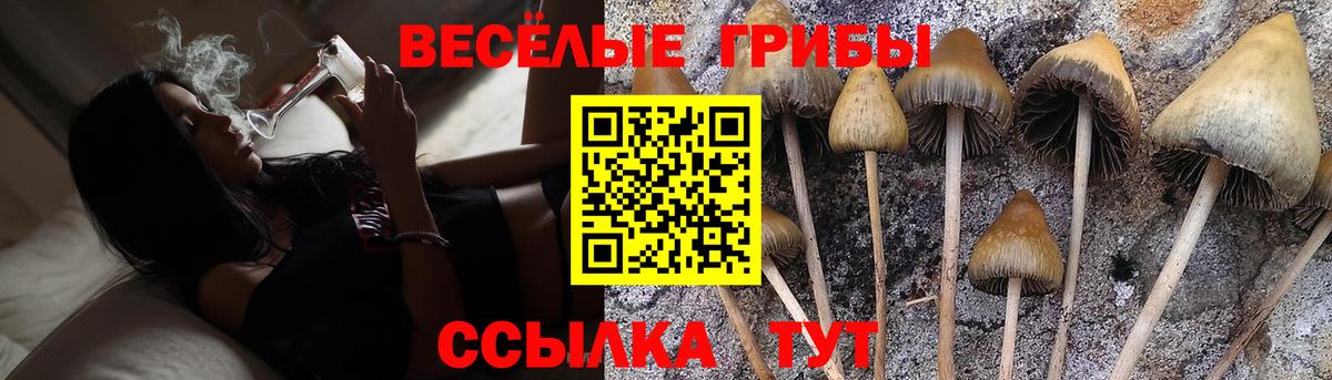 Псилоцибиновые грибы Magic Shrooms Новотроицк