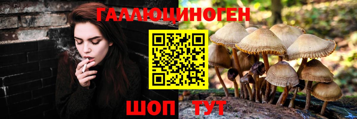 Новотроицк  Галлюциногенные грибы ЛСД  Вход с VPN 