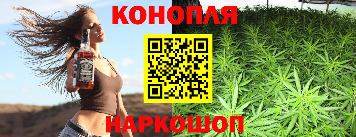 Бошки Шишки OG Kush  Вход с VPN  Бошки марихуана индика  Новотроицк  Бошки марихуана тримм 